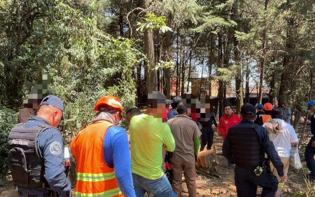 Alcaldía Cuajimalpa asesta golpe a delincuentes ambientales; detienen a 5 por manejo ilegal de recursos naturales