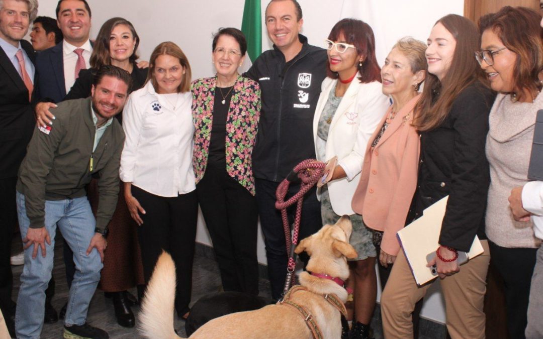 Cuajimalpa asume su responsabilidad con el bienestar animal