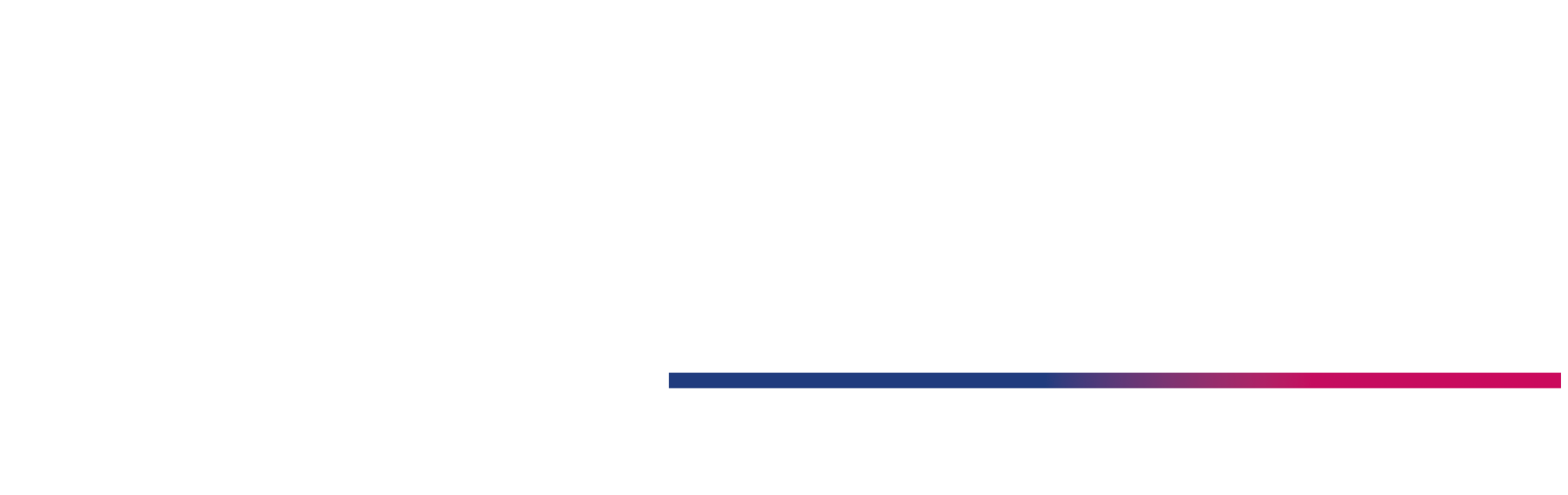 Carlos Orvañanos Primer Informe