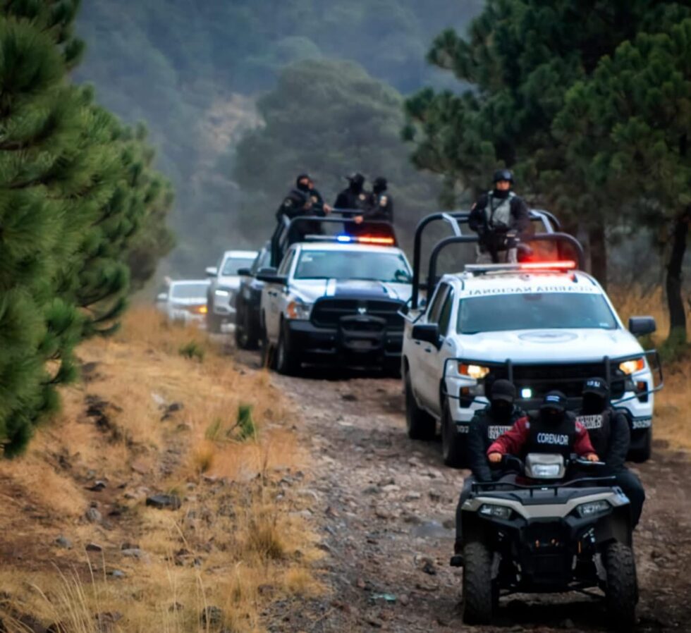 Vigilancia Ambiental Permanente